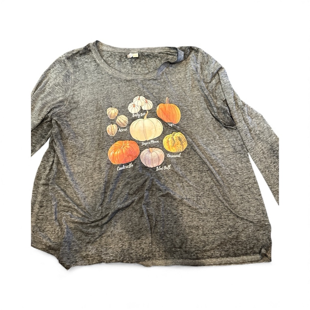 Cato Gray Long Sleeve Tee with Pumpkin Print